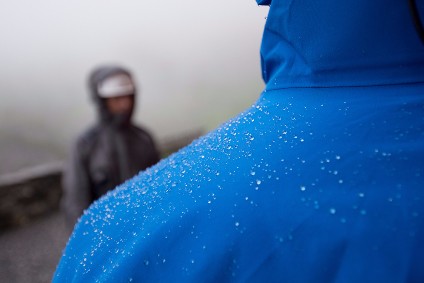 The sustainability framework is informed by global trends and the United Nations SDGs