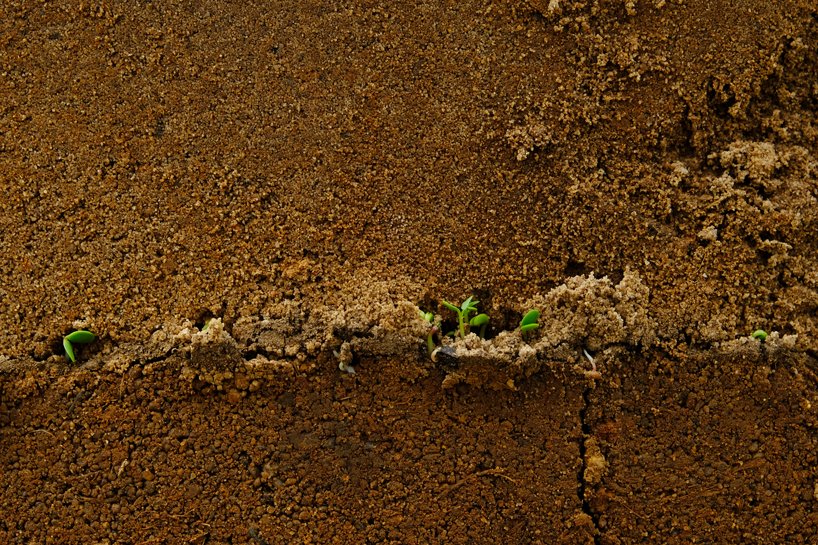 pillars made from the biomass of dead palm trees populate a riverside site in portugal