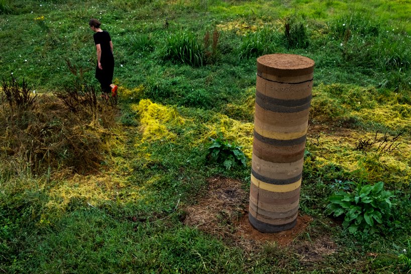 iwo borkowicz + ola korbańska transform palm tree biomass into sculptures designboom