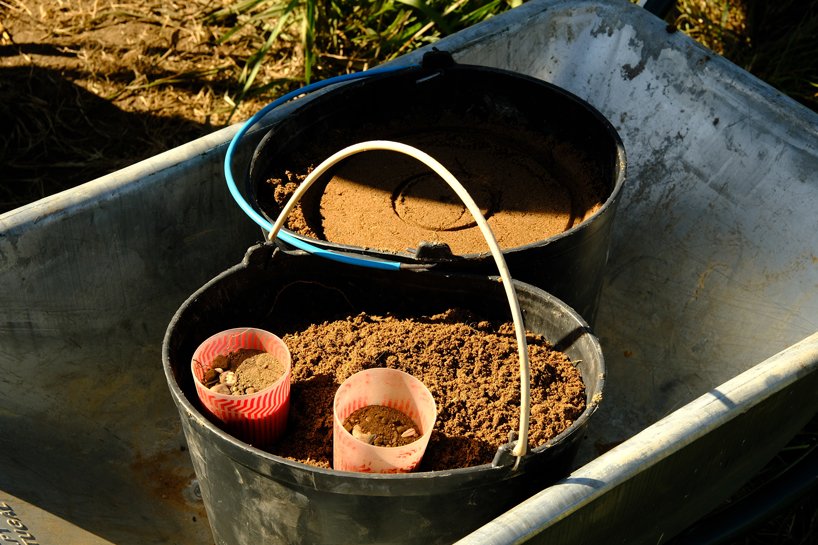 iwo borkowicz + ola korbańska transform palm tree biomass into sculptures designboom