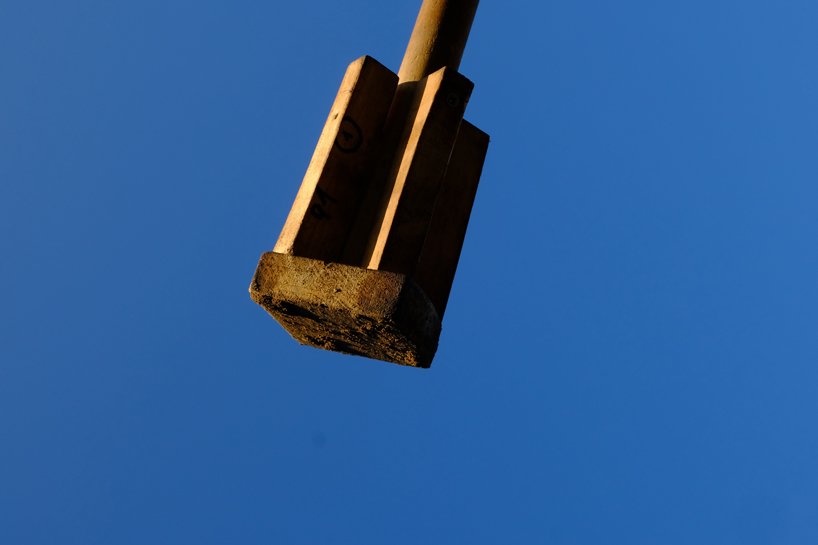 iwo borkowicz + ola korbańska transform palm tree biomass into sculptures designboom