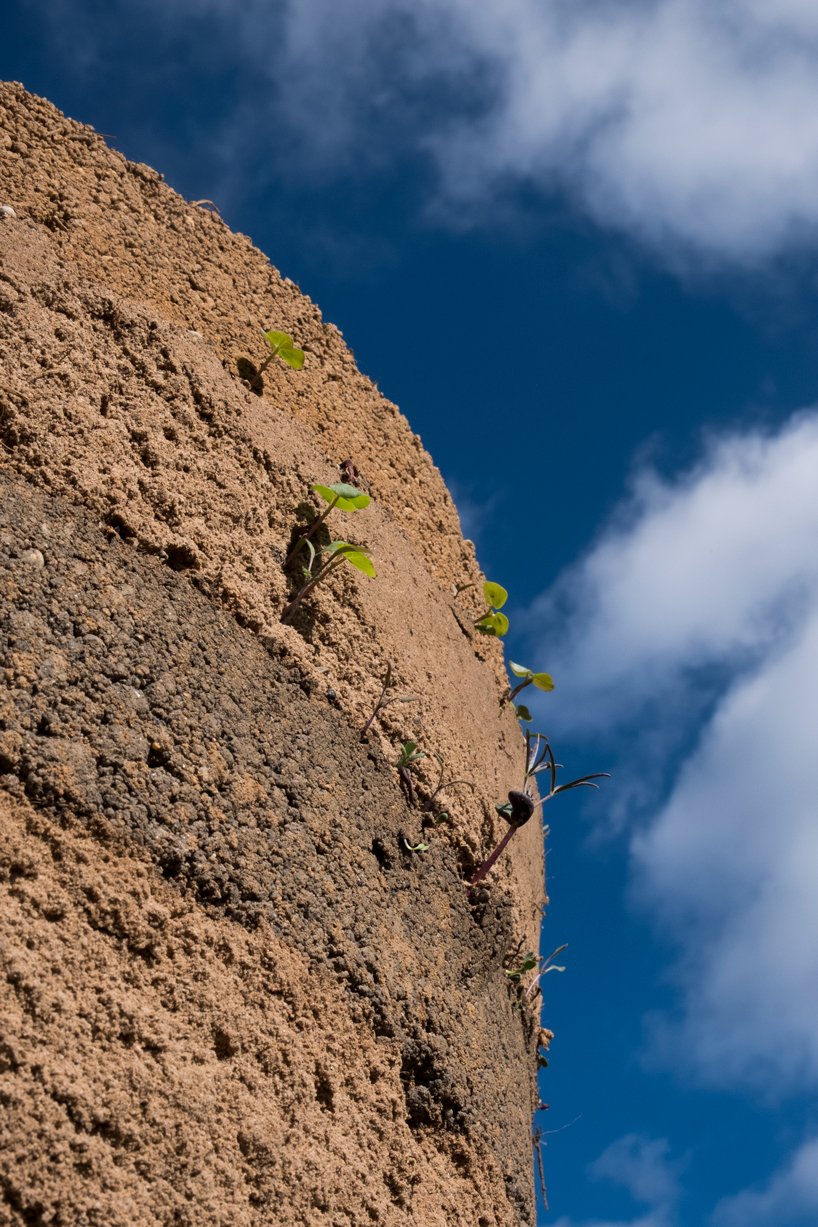 pillars made from the biomass of dead palm trees populate a riverside site in portugal