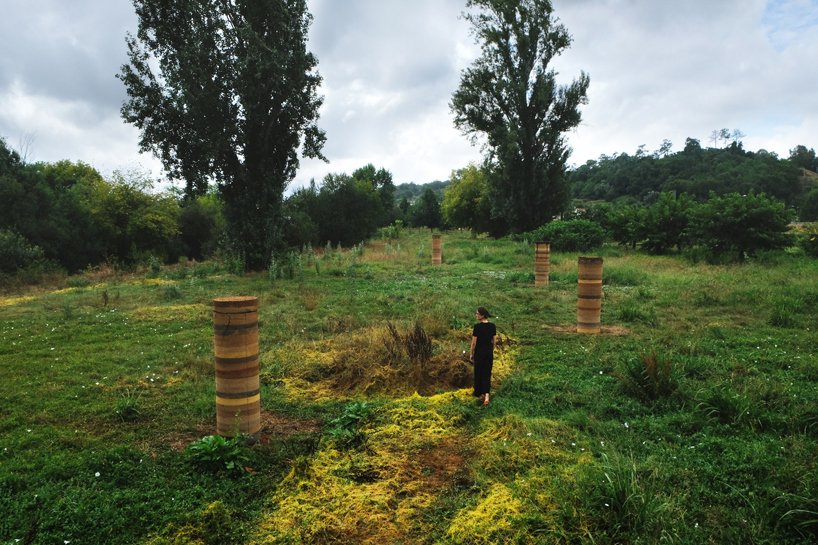 iwo borkowicz + ola korbańska transform palm tree biomass into sculptures designboom