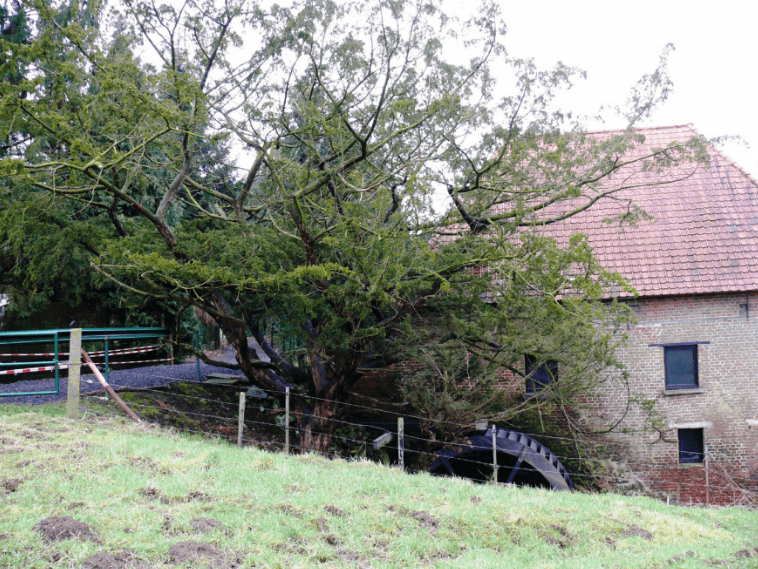 Watermill-protection-min