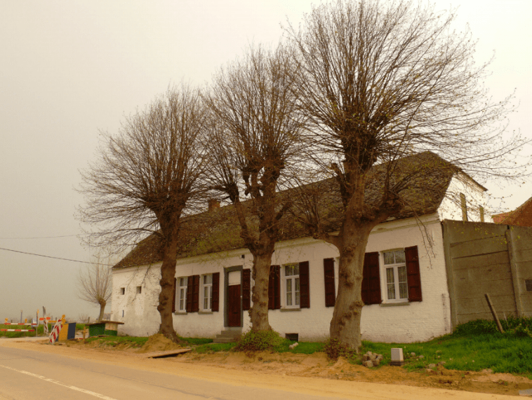 Schermbeplanting-gebouw-min