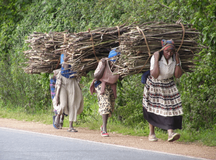 Adrican-women-firewood-min