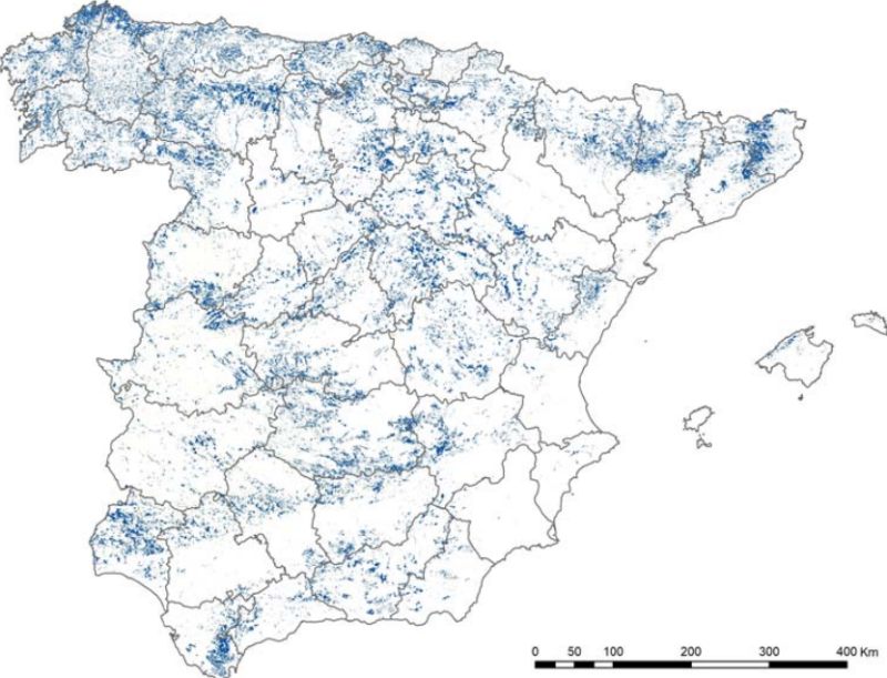 Historical-coppice-forests-spain